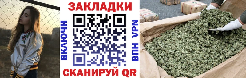 Купить закладку Галлюциногенные грибы  Меф  ГАШИШ  Канабис  Альфа ПВП  Зеленодольск