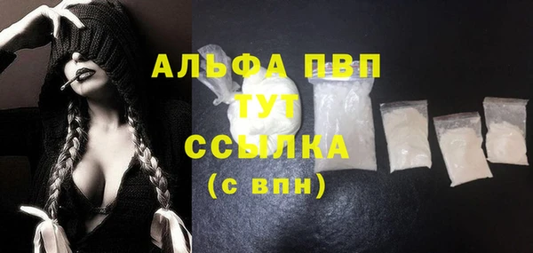 МДПВ Вяземский