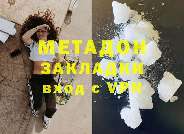 прущие грибы Вязьма