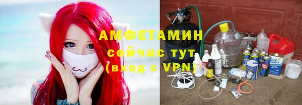 прущие грибы Вязьма