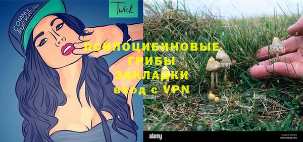 МДПВ Вяземский