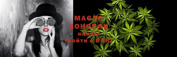 прущие грибы Вязьма