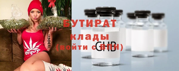 прущие грибы Вязьма