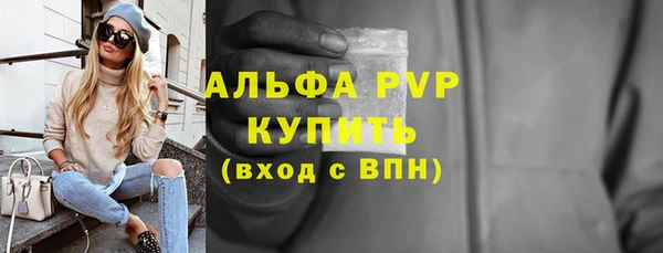 прущие грибы Вязьма