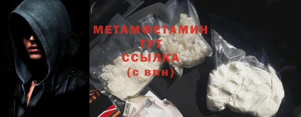 прущие грибы Вязьма