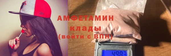 прущие грибы Вязьма