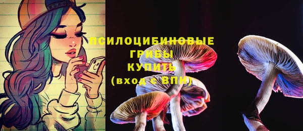 прущие грибы Вязьма