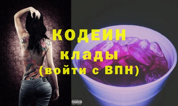 МДПВ Вяземский