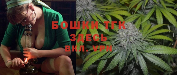 прущие грибы Вязьма