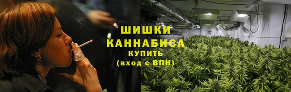 МДПВ Вяземский