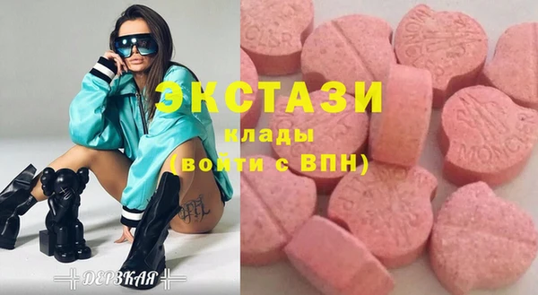 МДПВ Вяземский